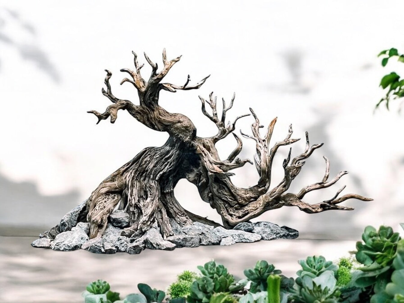 bonsai aquarium