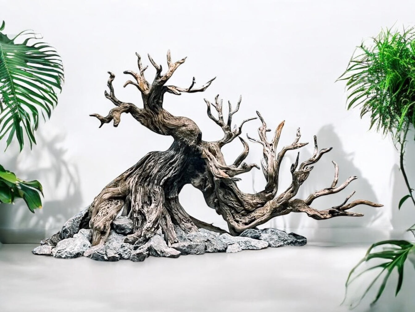 bonsai aquarium