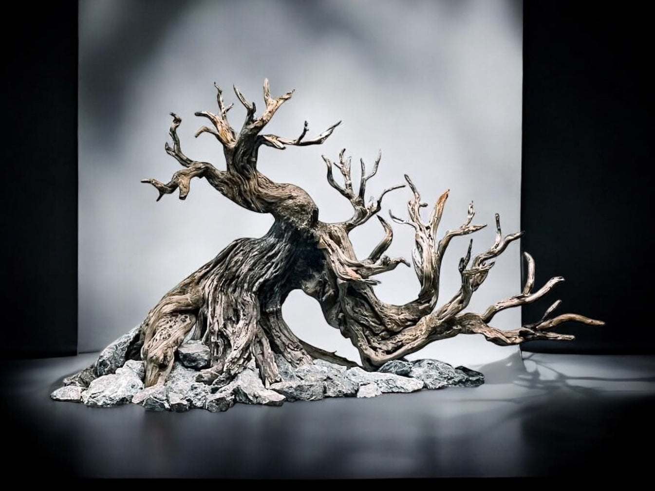 bonsai aquarium