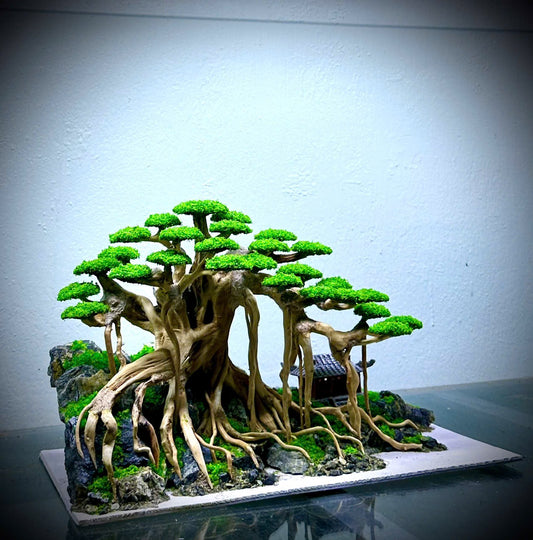 bonsai aquarium tree