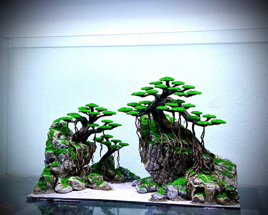 bonsai aquarium
