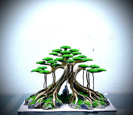 bonsai tree