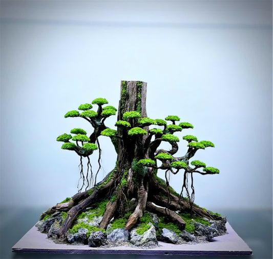 Bonsai Driftwood