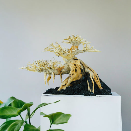 Bonsai Driftwood Aquarium Tree for Aquarium Decor Fish Tank Decorations