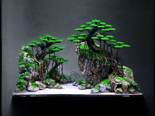 bonsai aquarium