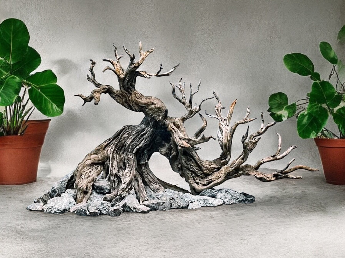 bonsai aquarium