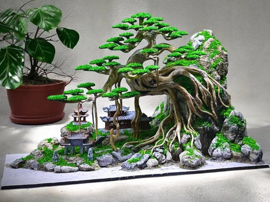 bonsai