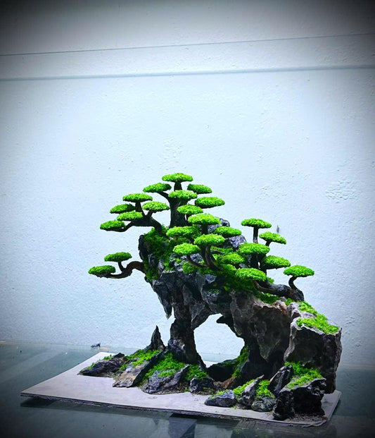 bonsai