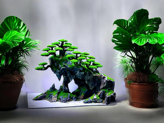 bonsai